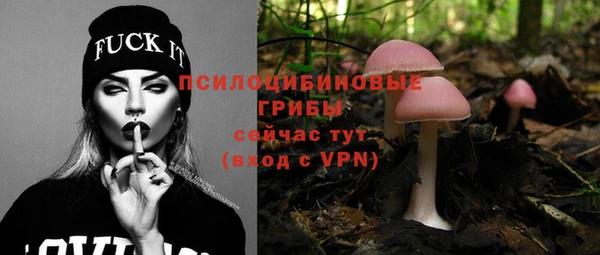 ПСИЛОЦИБИНОВЫЕ ГРИБЫ Волосово