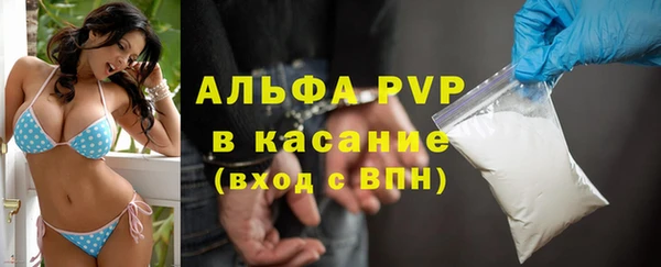ПСИЛОЦИБИНОВЫЕ ГРИБЫ Волосово