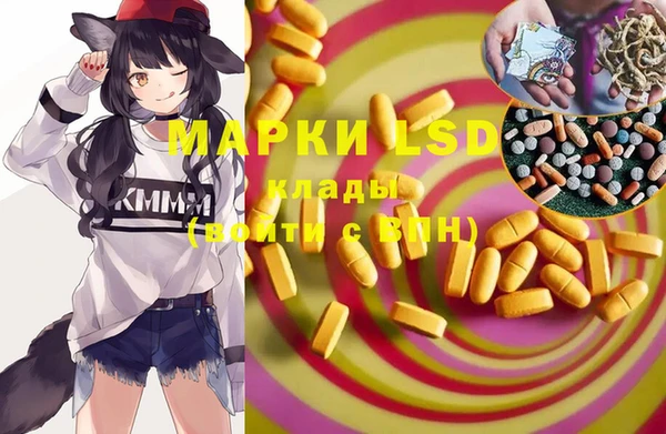 PSILOCYBIN Сосновка