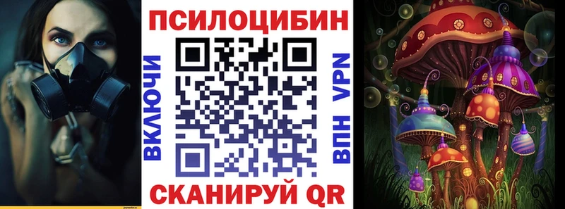 Галлюциногенные грибы GOLDEN TEACHER  darknet наркотические препараты  Лыткарино 